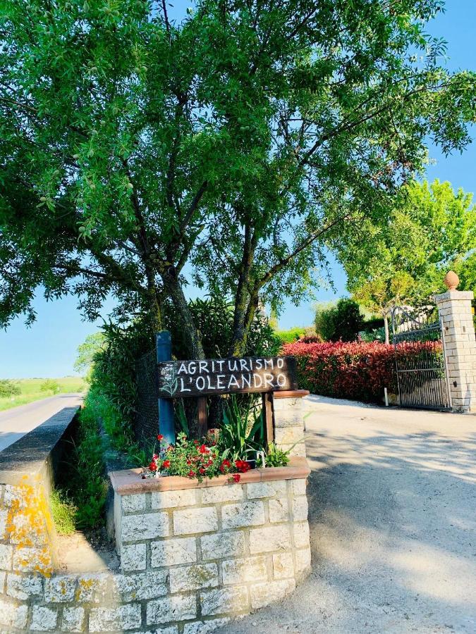 8380 Agriturismo L'Oleandro Montemerano Luaran gambar